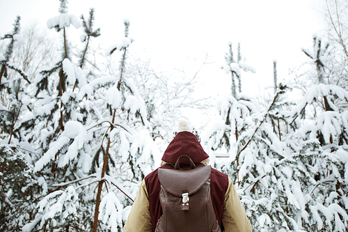 Back view portrait of unrecognizable young man wearing backpack enjoying hike in beautiful winter forest, copy space