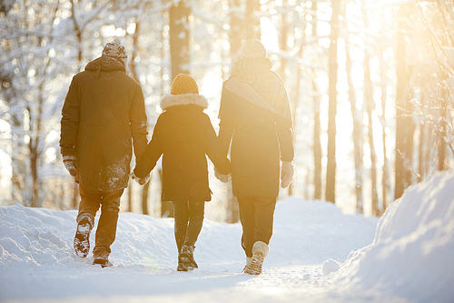 Back view portrait of happy family holding hands enjoying walk in winter forest lit by sunlight, copy space