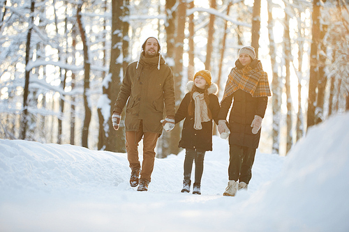 Full length portrait of happy family holding hands enjoying walk in winter forest lit by sunlight, copy space