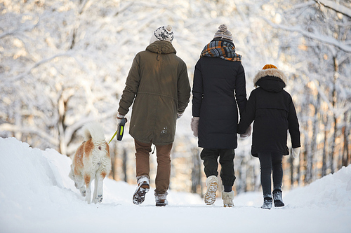 Back view portrait of happy family posing with dog in beautiful winter forest, copy space