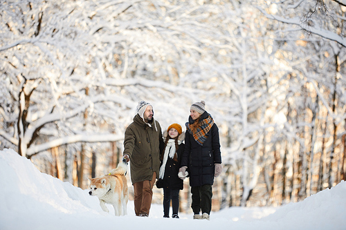 Wide angle portrait of happy family walking dog in beautiful winter forest, copy space