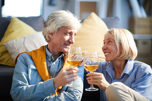 Portrait of happy senior couple holding wine glasses and toasting celebrating anniversary at home