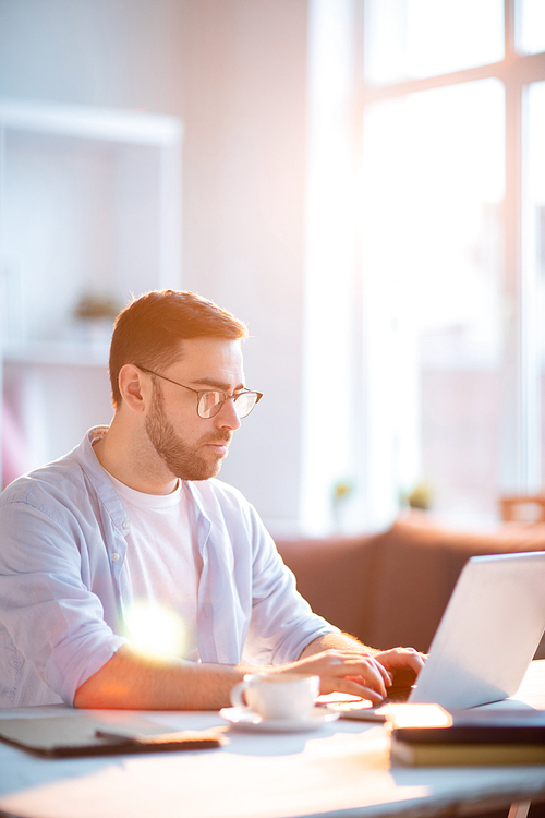 Young serious businessman concentrating on network while sitting by desk in front of laptop on sunny day