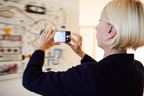 Back view portrait of unrecognizable woman taking smartphone photo of painting in art gallery, copy space