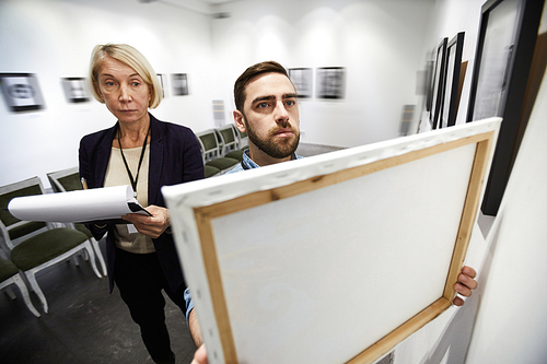 High angle portrait of two museum workers hanging pictures in art gallery, copy space