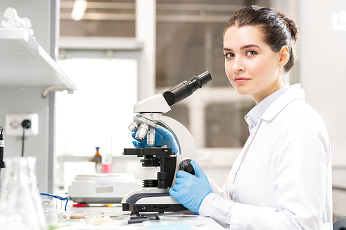 Content young lady with hair bun wearing lab coat and rubber gloves sitting at table and  while studying bacteria in laboratory