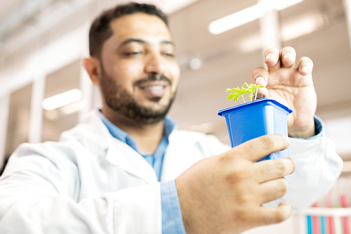 Smiling Arabian seed technologist in lab coat holding blue pot with plant and examining leaves while writing research paper