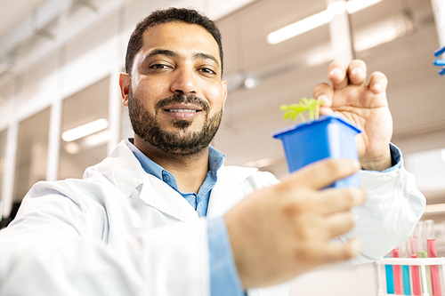 Positive confident handsome young Arabian scientist with beard wearing white coat holding plant in pot and  in seedling laboratory