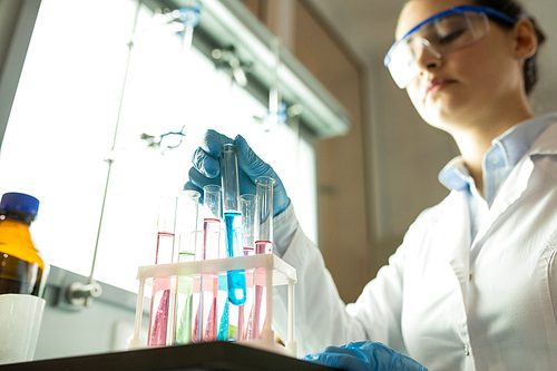 Below view of serious busy female laboratory worker in blue rubber gloves putting test tube into rack, she sorting test tubes with colorful liquids