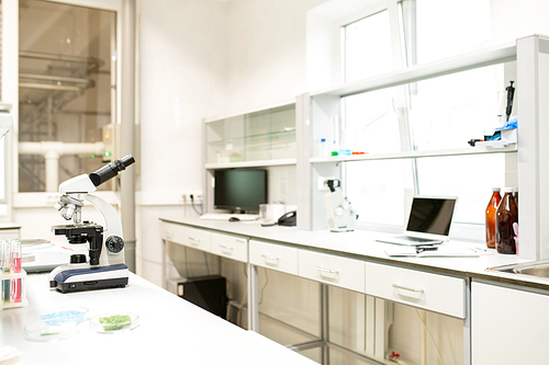 Biological laboratory space with medical samples in petri dishes and microscope on lab bench