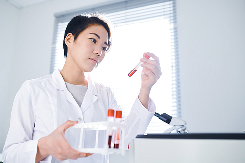 Serious experienced Asian female medical researcher with short hair holding test tube rack and examining blood sample in laboratory