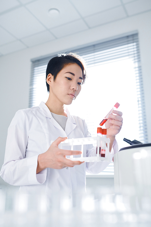 Serious concentrated young Asian lab technician in white coat holding test tube rack and preparing blood sample for processing in centrifuge