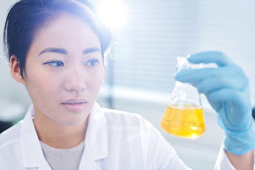 Serious puzzled young Asian laboratory worker in rubber gloves standing in sunlight and examining chemical liquid in flask