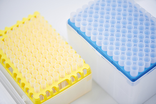 Plastic test tube rack on table, Closed colorful containers with sample tubes on table