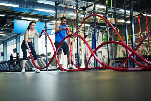 Two young active intercultural cross training athletes practicing rope battle in gym or fitness center