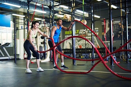 Young man and woman in sportswear holding by ends of red ropes during cross training in gym