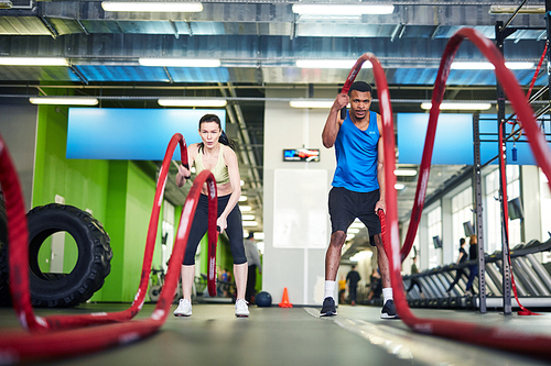 Young sportsman and sportswoman holding by ends of red ropes during cross training in fitness center