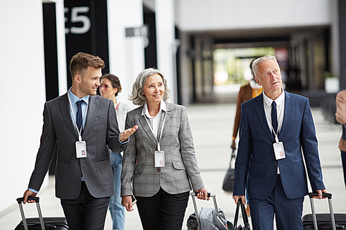 Group of multi-ethnic business representatives in formalwear carrying suitcases arriving at global forum