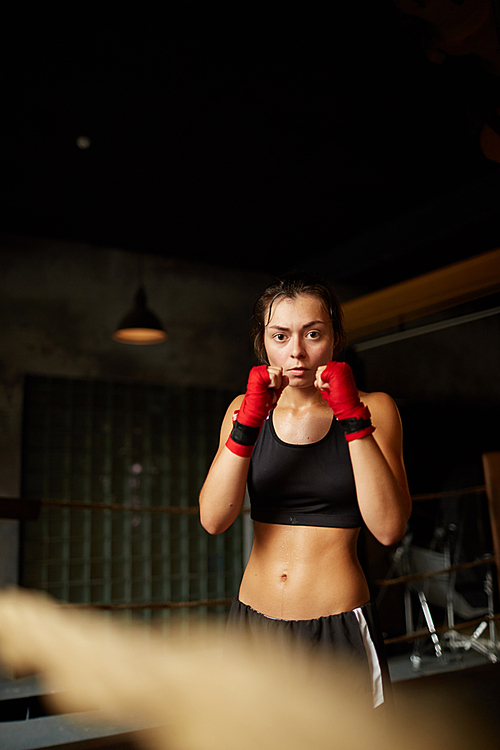 Dramatic front view portrait of tough female boxer practicing in boxing ring, copy space