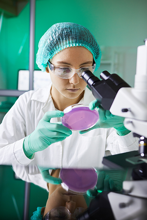 Portrait of young female scientist holding petri dish while working on ...