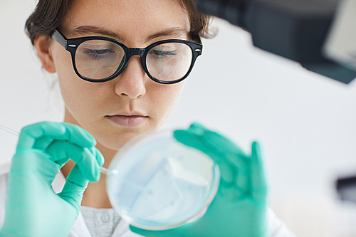 Close up portrait of beautiful young woman holding petri dish while ...
