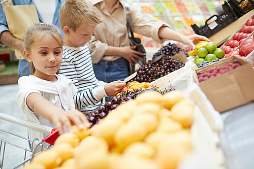 Portrait of two cute kids choosing fruits at farmers market while grocery shopping with parents, copy space