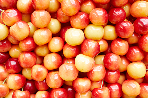Background image of fresh glistening cherries laid out at farmers market, copy space