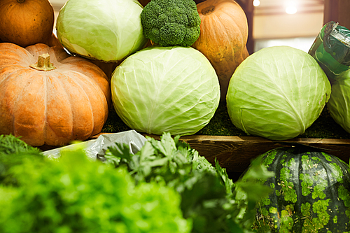 Background image of vegetable stand at farmers market with pumpkins and cabbages during Autumn harvest, copy space