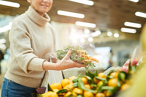 Cropped portrait of smiling adult woman choosing fresh vegetables while grocery shopping at farmers market, copy space