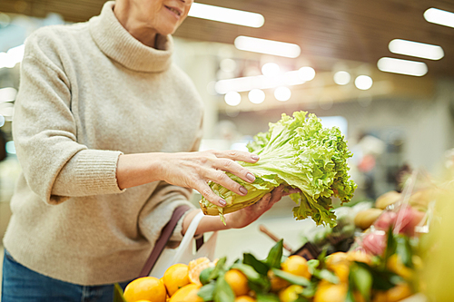 Closeup of modern senior woman choosing fresh vegetables while grocery shopping at farmers market, copy space