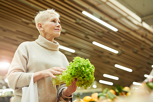 Waist up portrait of modern senior woman choosing fresh vegetables while grocery shopping at farmers market, copy space