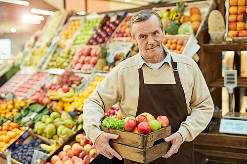 Waist up portrait of smiling senior man holding box of apples while selling fruits at farmers market, copy space