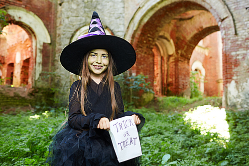 Portrait of cute little witch  and holding Trick or Treat banner on Halloween , copy space
