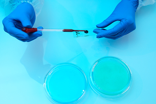 Above view background of scientist examining blood sample in medical laboratory, copy space