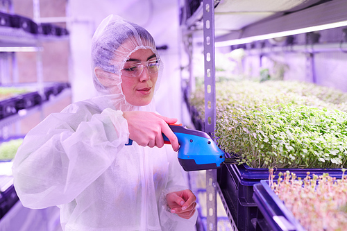 Portrait of female agricultural engineer caring for plants in  greenhouse using electric hand tool, copy space