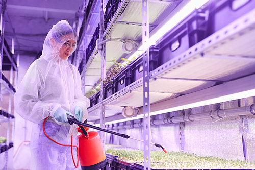 Waist up portrait of female agricultural engineer spraying fertilizer while working in plant  greenhouse lit by blue light, copy space