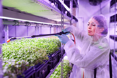 Portrait of female agricultural engineer spraying fertilizer while working in plant  greenhouse lit by blue light, copy space