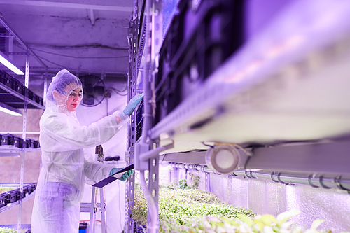 Side view portrait of female scientist holding clipboard while working in  greenhouse or plantation lab, copy space