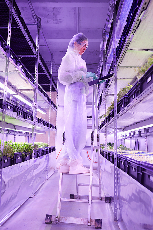 Full length portrait of female scientist holding clipboard while examining plants in  greenhouse or laboratory, copy space