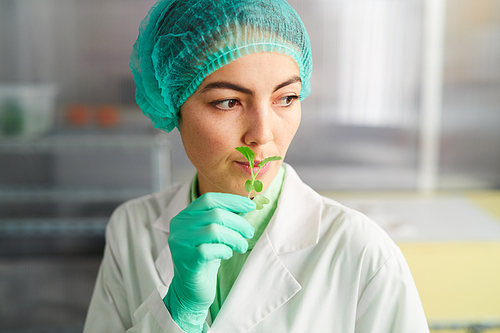 Portrait of female worker holding tiny green plant while working in bio laboratory, copy space