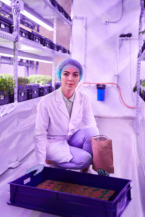 Full length portrait of female worker  while potting plants in  greenhouse, copy space