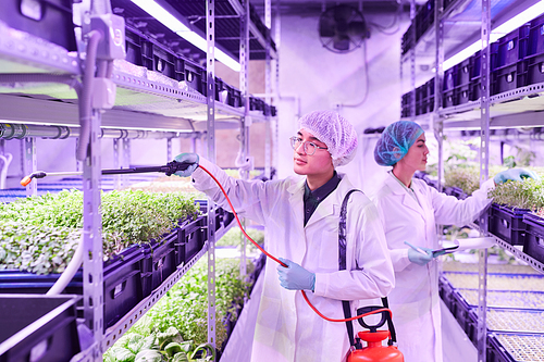 Portrait of two young workers caring for plants in  greenhouse, copy space