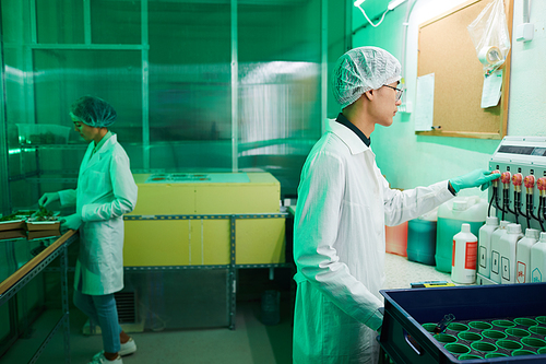 Side view at two workers wearing protective clothing working in bio laboratory or  greenhouse, copy space