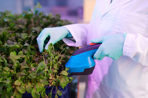 Close up of unrecognizable worker wearing protective clothing caring for plants in greenhouse, using electric hand tool, copy space