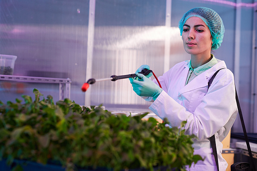 Portrait of female worker spraying fertilizer over green plants in bio laboratory or  greenhouse, copy space