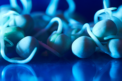 Macro shot of tiny sprouts on glass surface lit by blue light, bio laboratory experiment, copy space