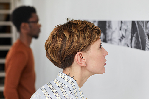 Close up side view portrait of modern young woman looking at paintings at art gallery exhibition, copy space