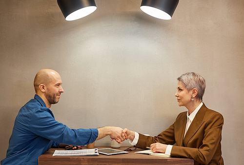 Minimal side view portrait of two people shaking hands while sitting across table in indoor cafe during business meeting, copy space