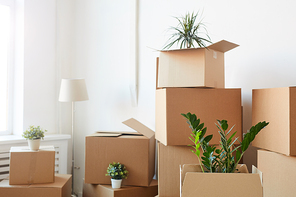Minimal background of cardboard boxes stacked in empty white room with plants and personal belongings inside, moving or relocation concept, copy space