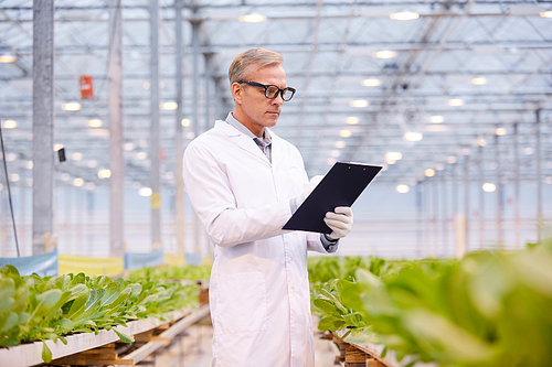 Waist up portrait of handsome mature scientist holding clipboard while working on research at flower plantation in industrial greenhouse, copy space